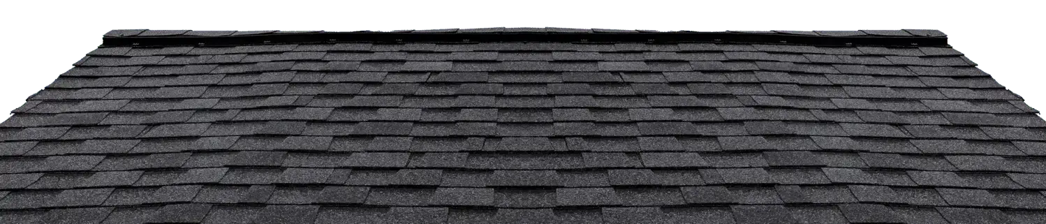 Black-on-Black shingle roof